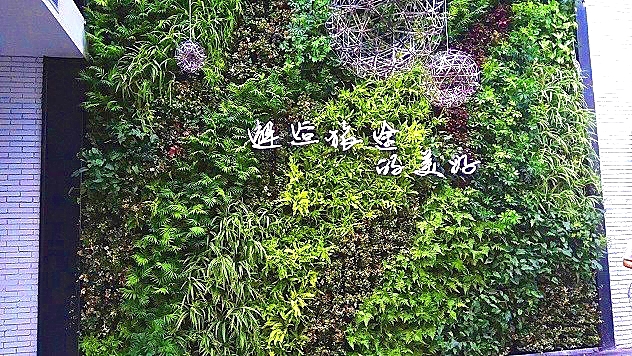 酒店植物墙LOGO案例